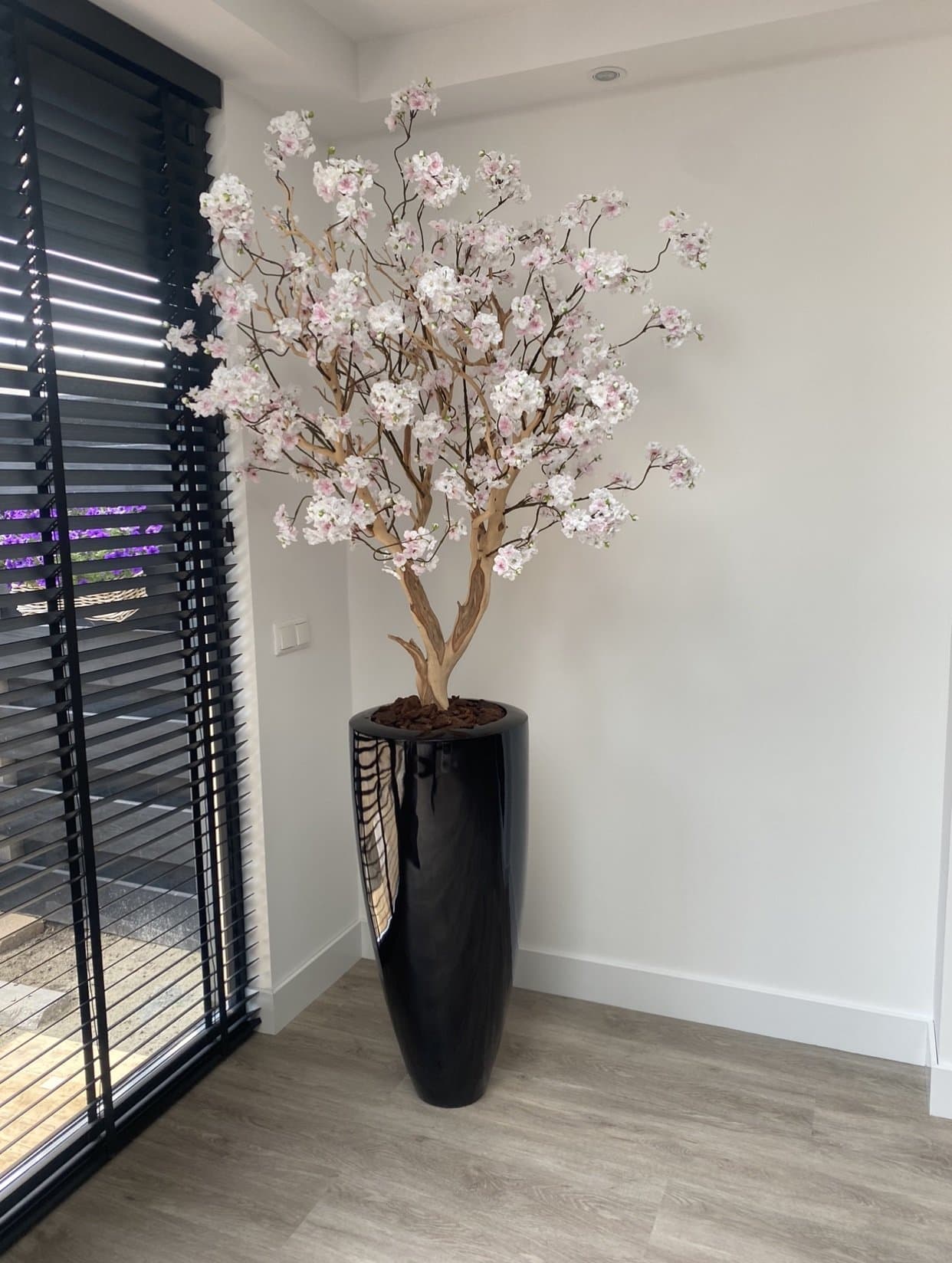 Black mamba vaas met Japanse sakura bloesems op manzanita tak