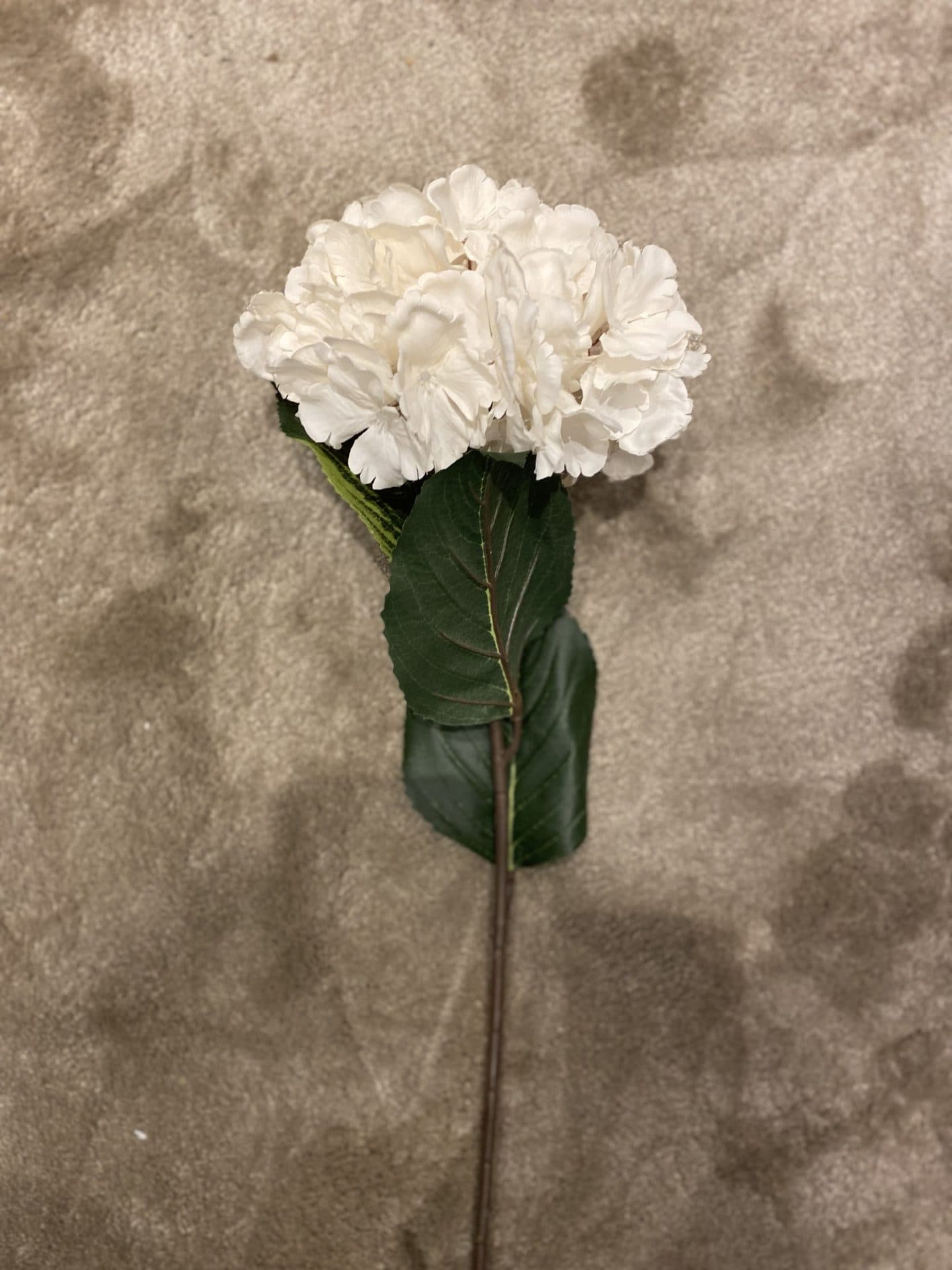Hortensia zijdebloem crème wit op steel 60 cm