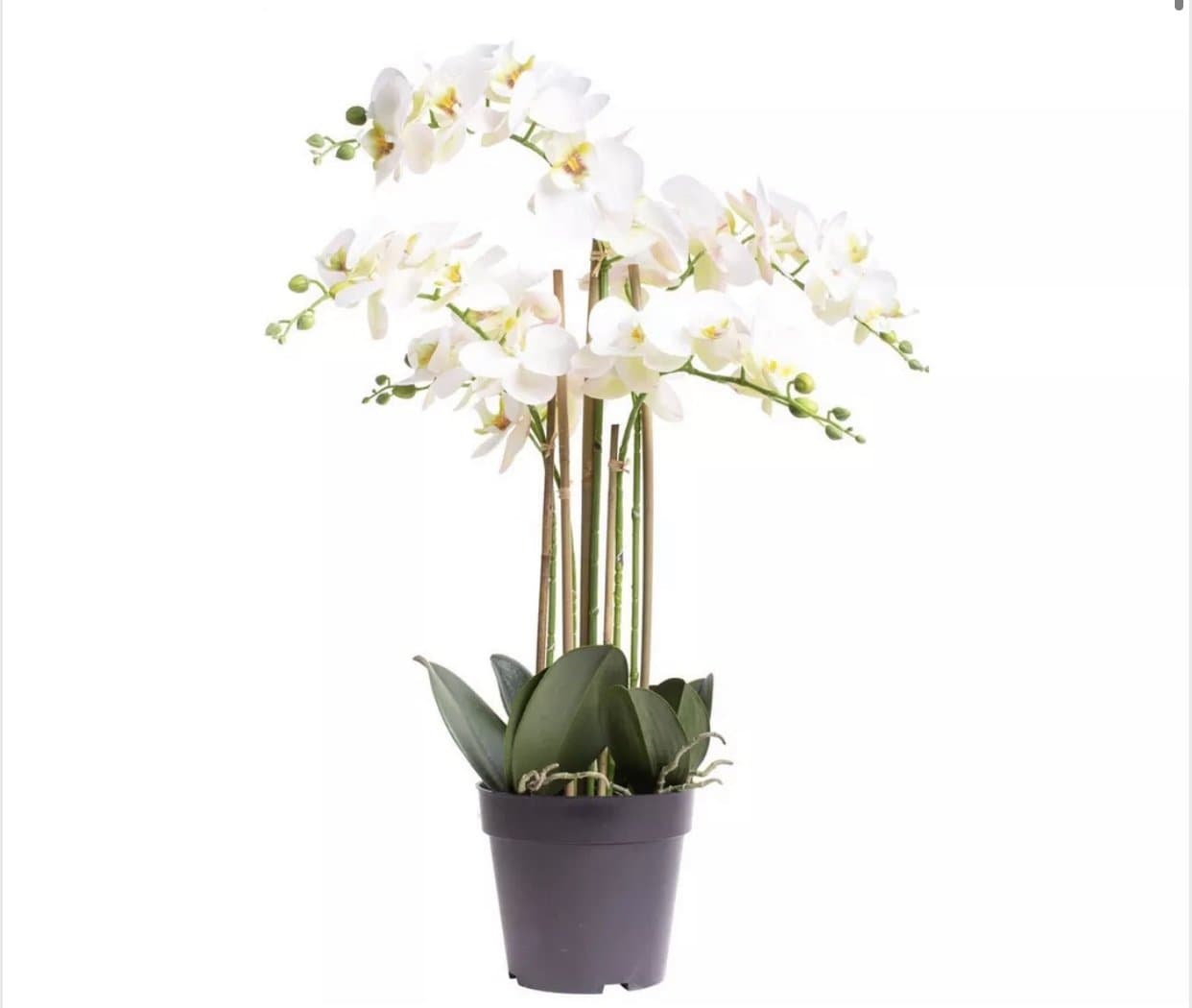 Kunstorchidee 5 takken real touch wit in pot 60 cm