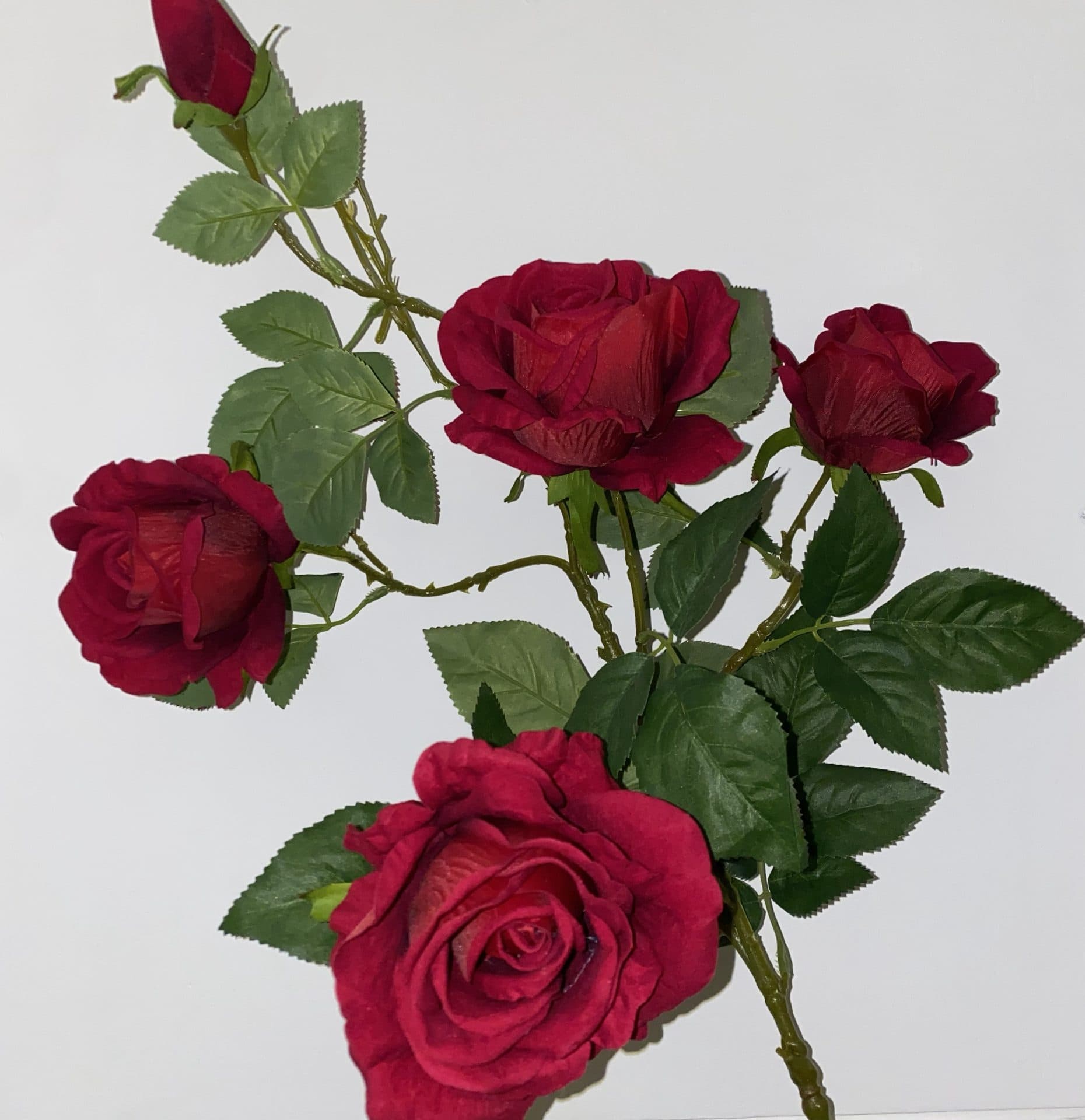 Zijden rozen tak rood 5 bloemen 70 cm