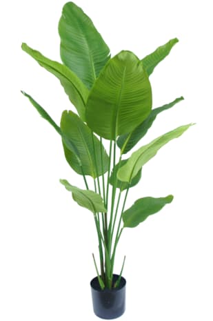 Kunstplant Strelitzia 150 cm in zwarte pot