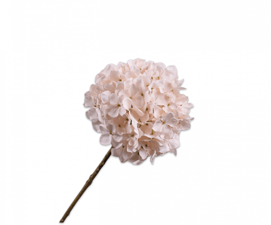 Hortensia zijdebloem steeltje beige