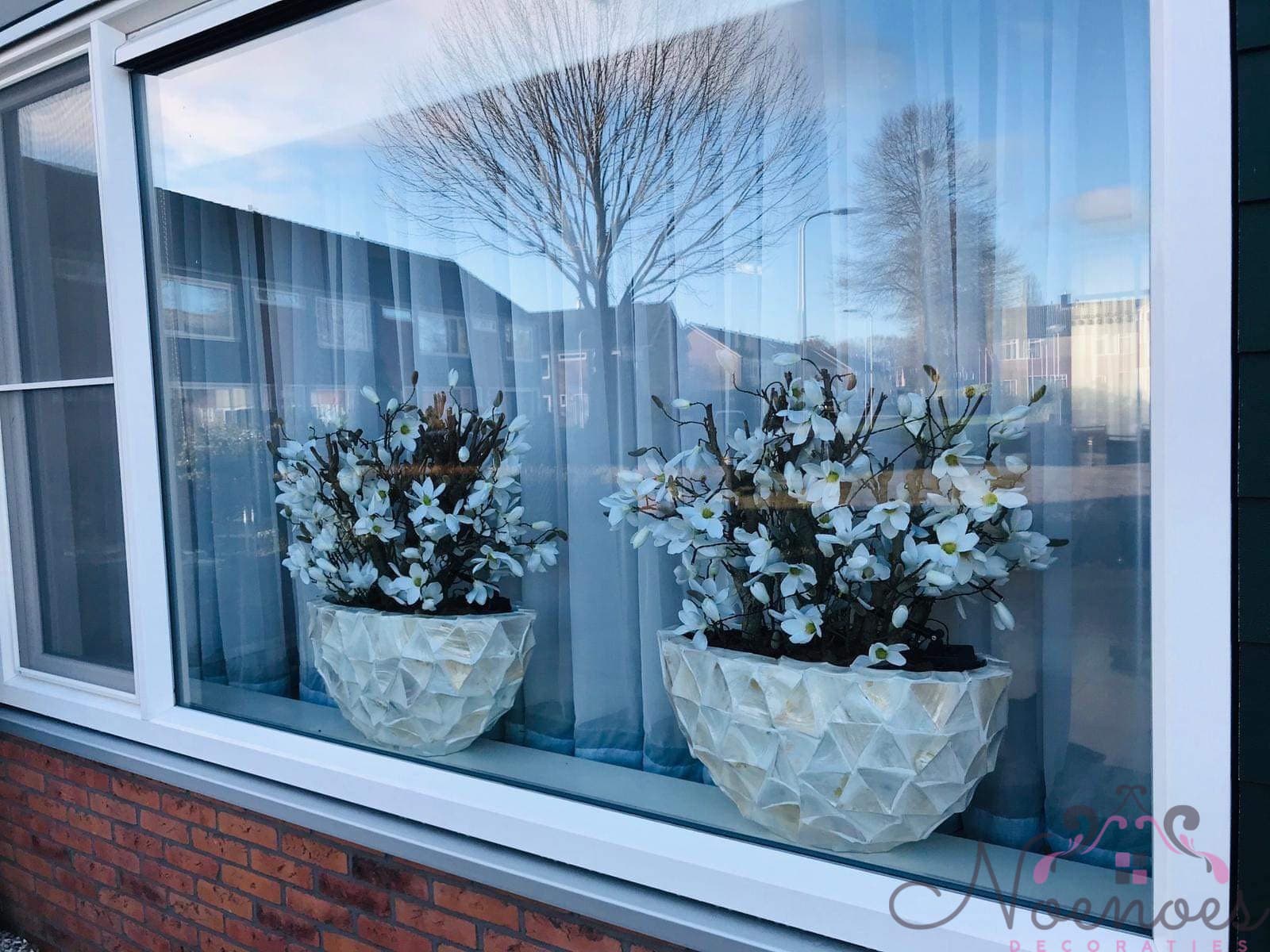 Schelpenvaas ovaal met witte magnolia bloemen 26×60×30 cm