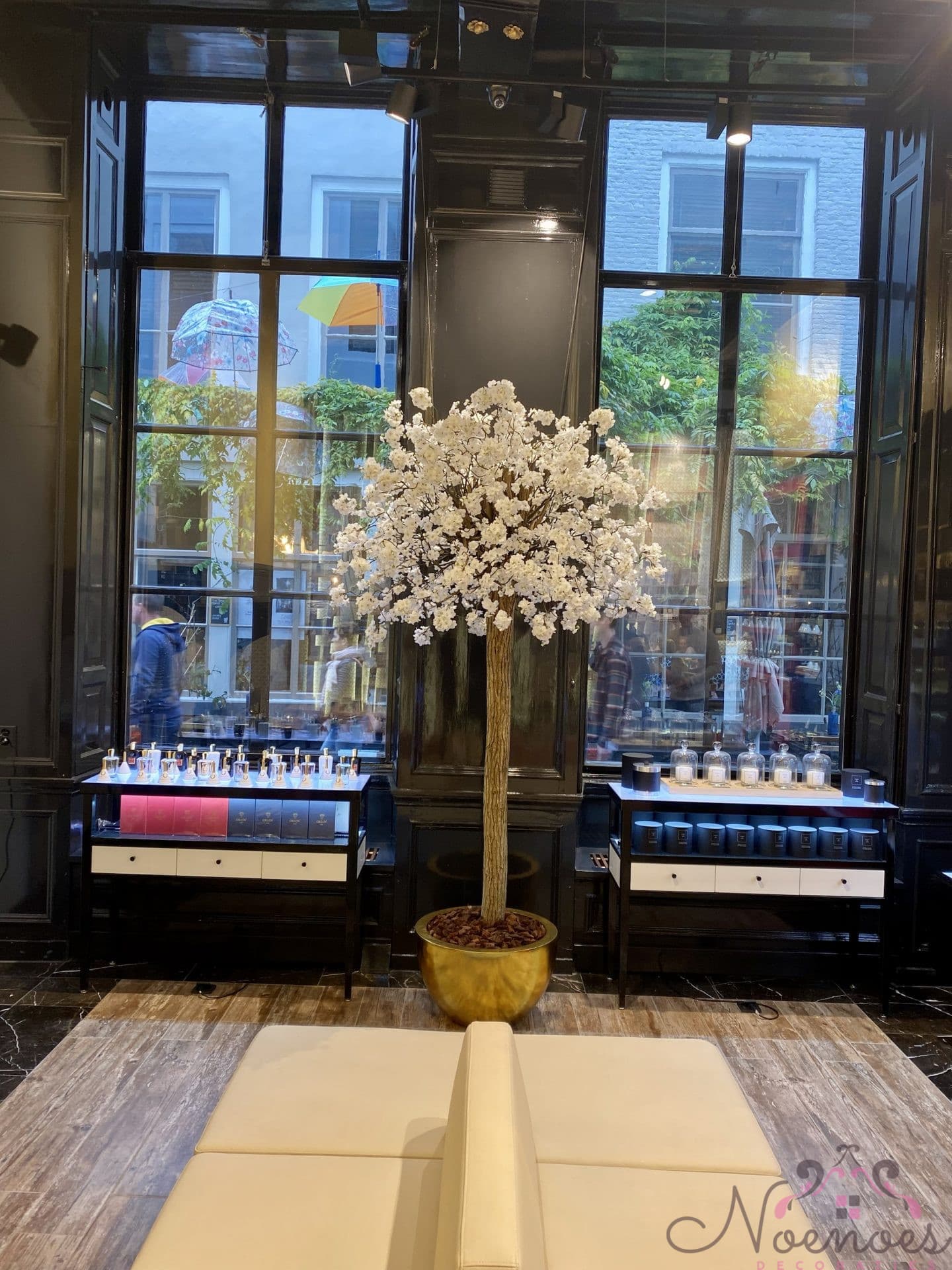 Bloesemboom wit in gouden pot - Japanse sakura XXXL 240-265 cm