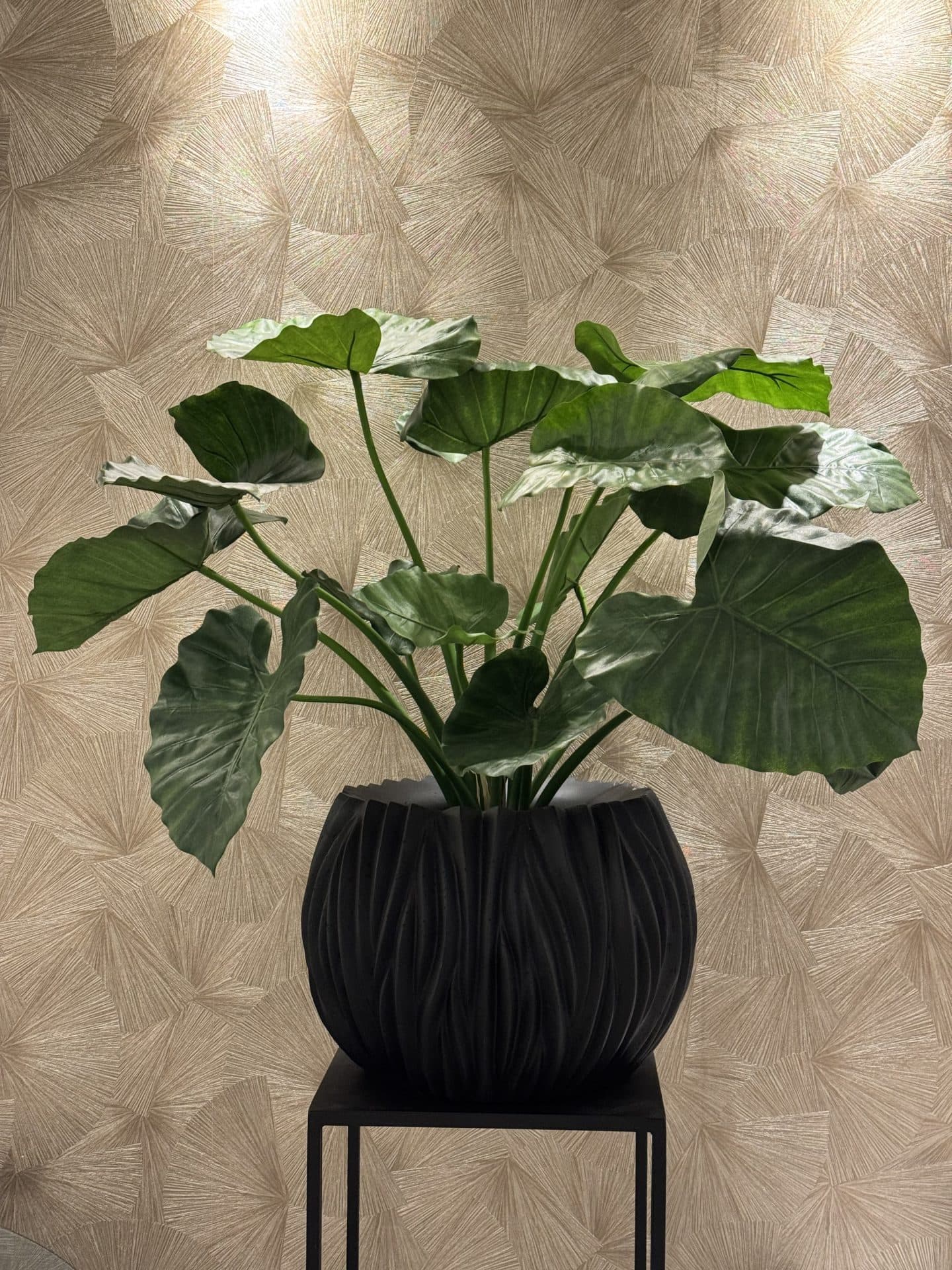 Pot Riversea zwart opgemaakt met Alocasia kunstplant 95 cm