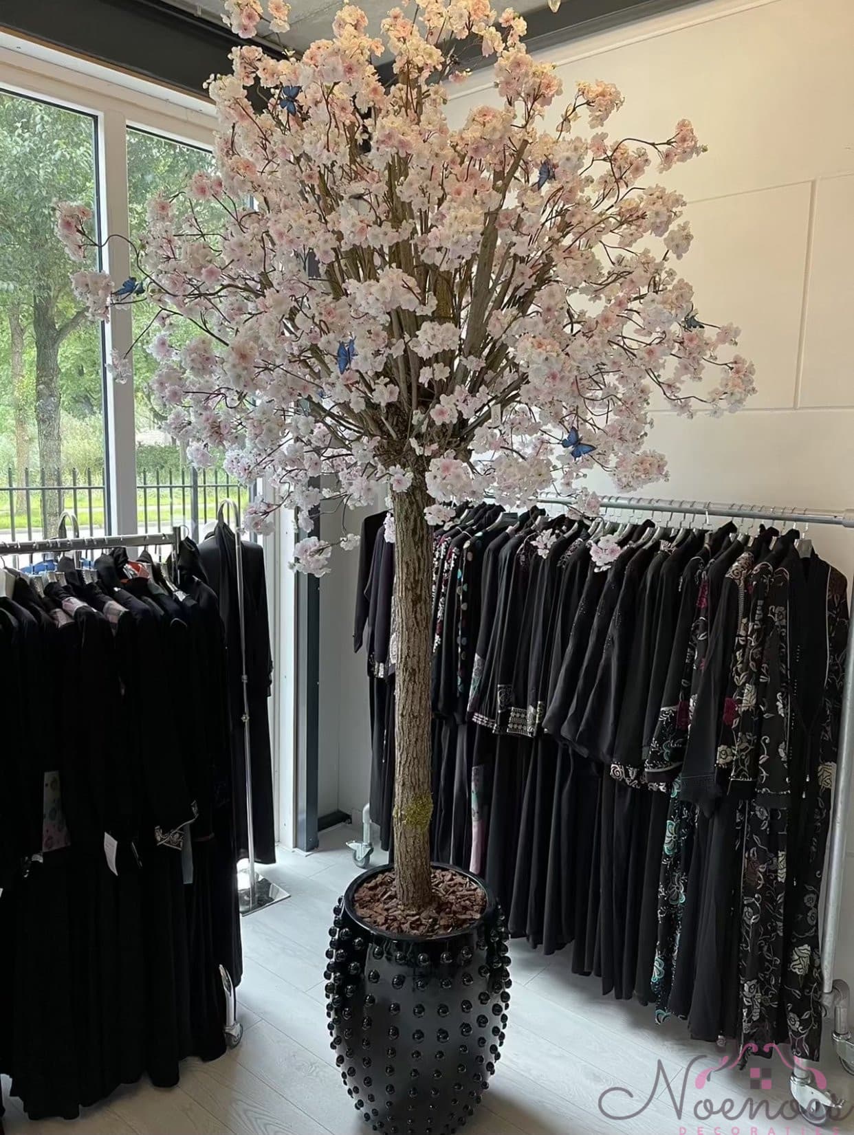 Japanse sakura bloesemboom XXXL in zwarte kraakpot, 300 cm