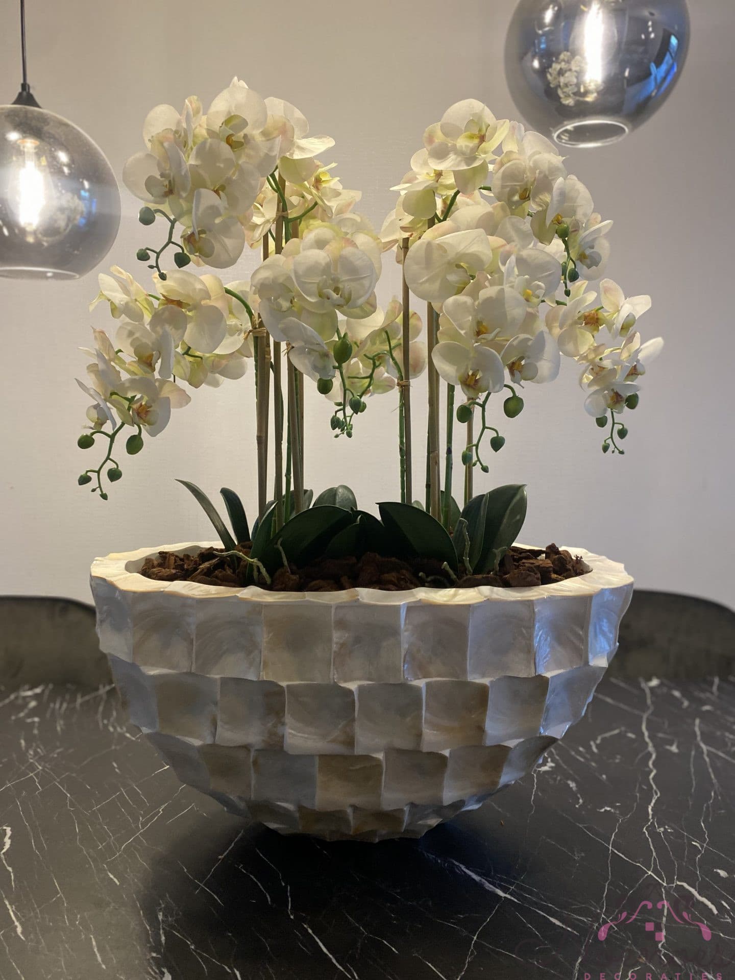 Schelpenvaas ovaal met witte orchideeën, 60x30 cm