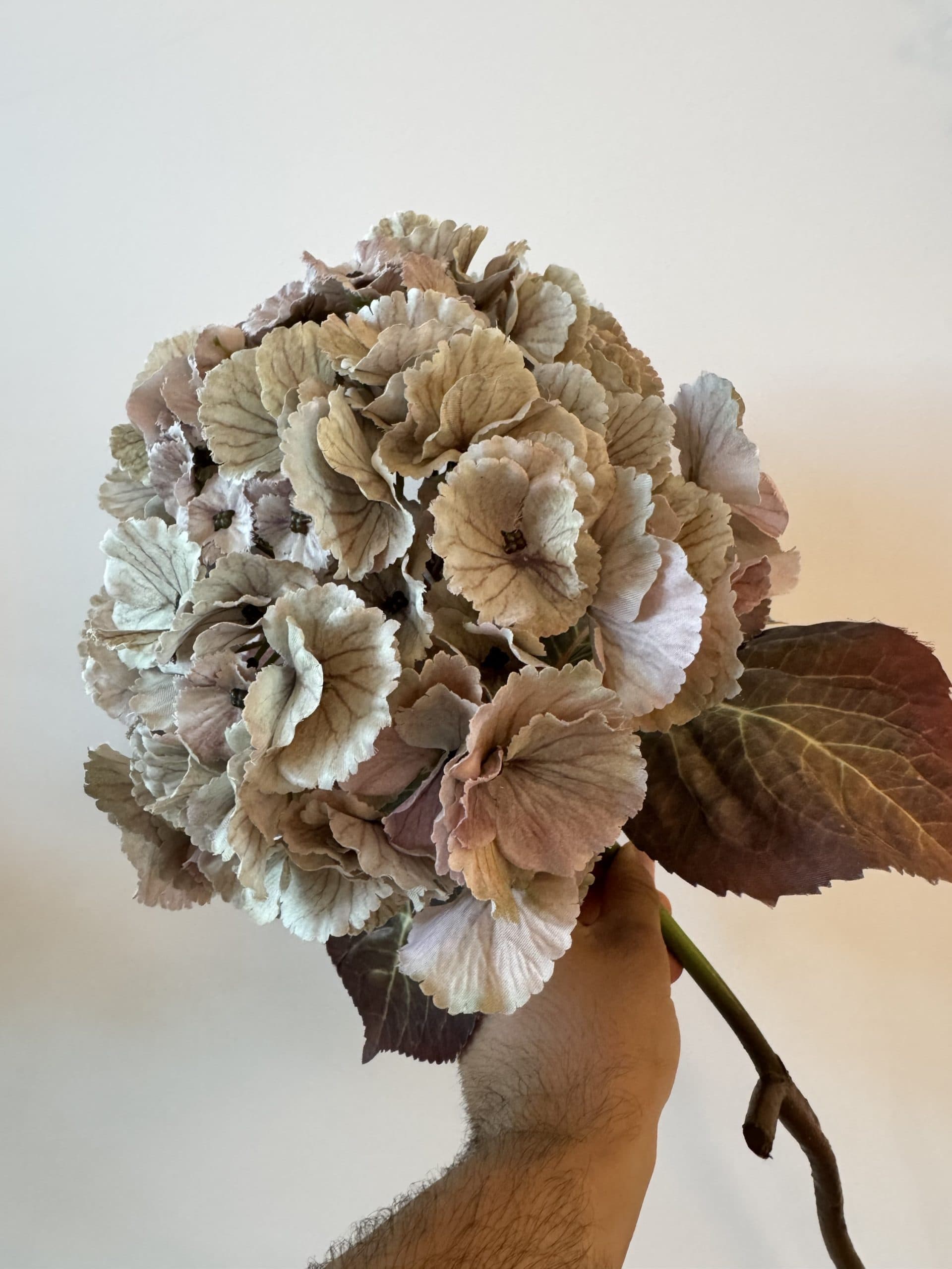 Hortensia xl zijdebloem groen-paars 75 cm