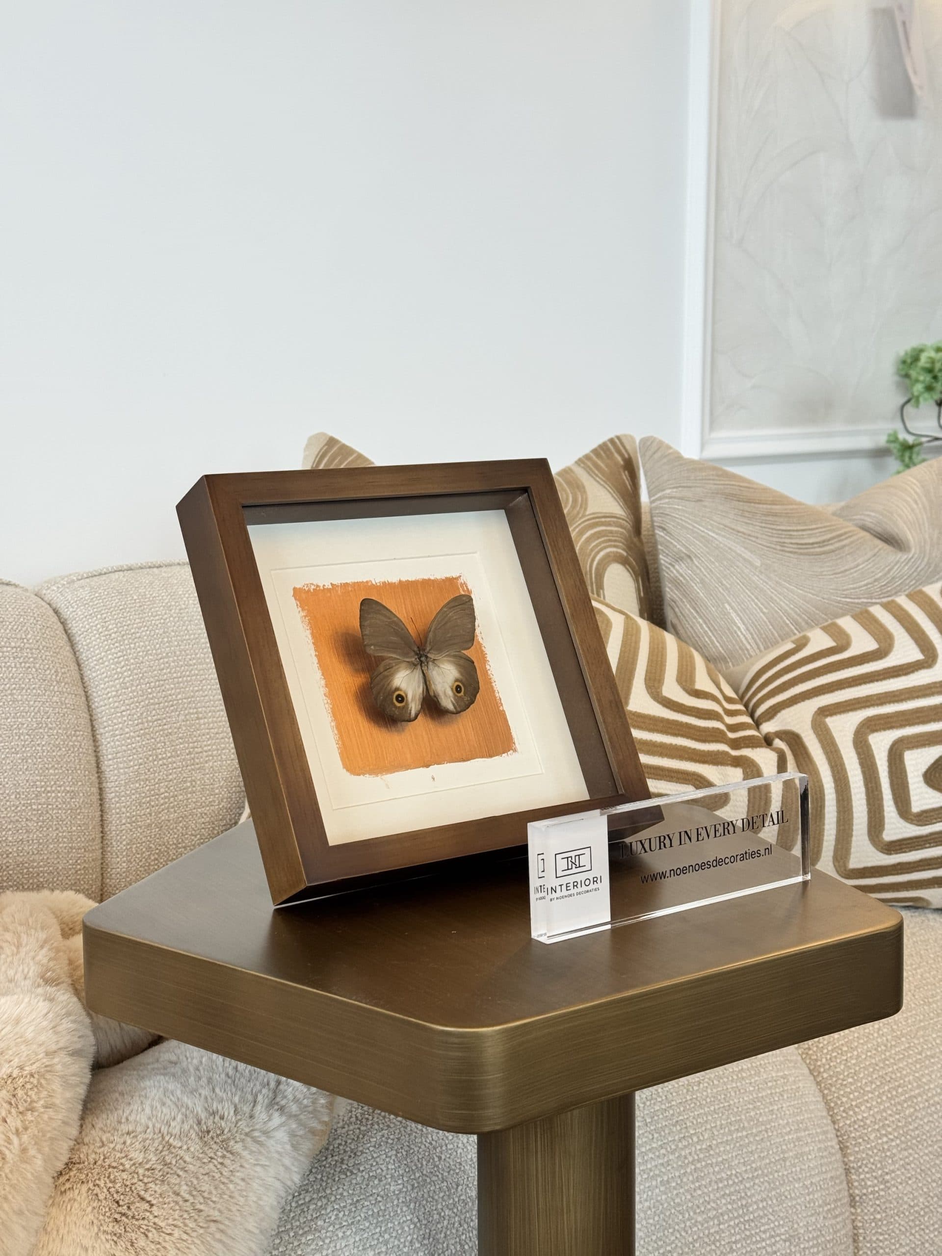 Vlinder in lijst bruine shadowbox met oranje achtergrond 25x25 cm
