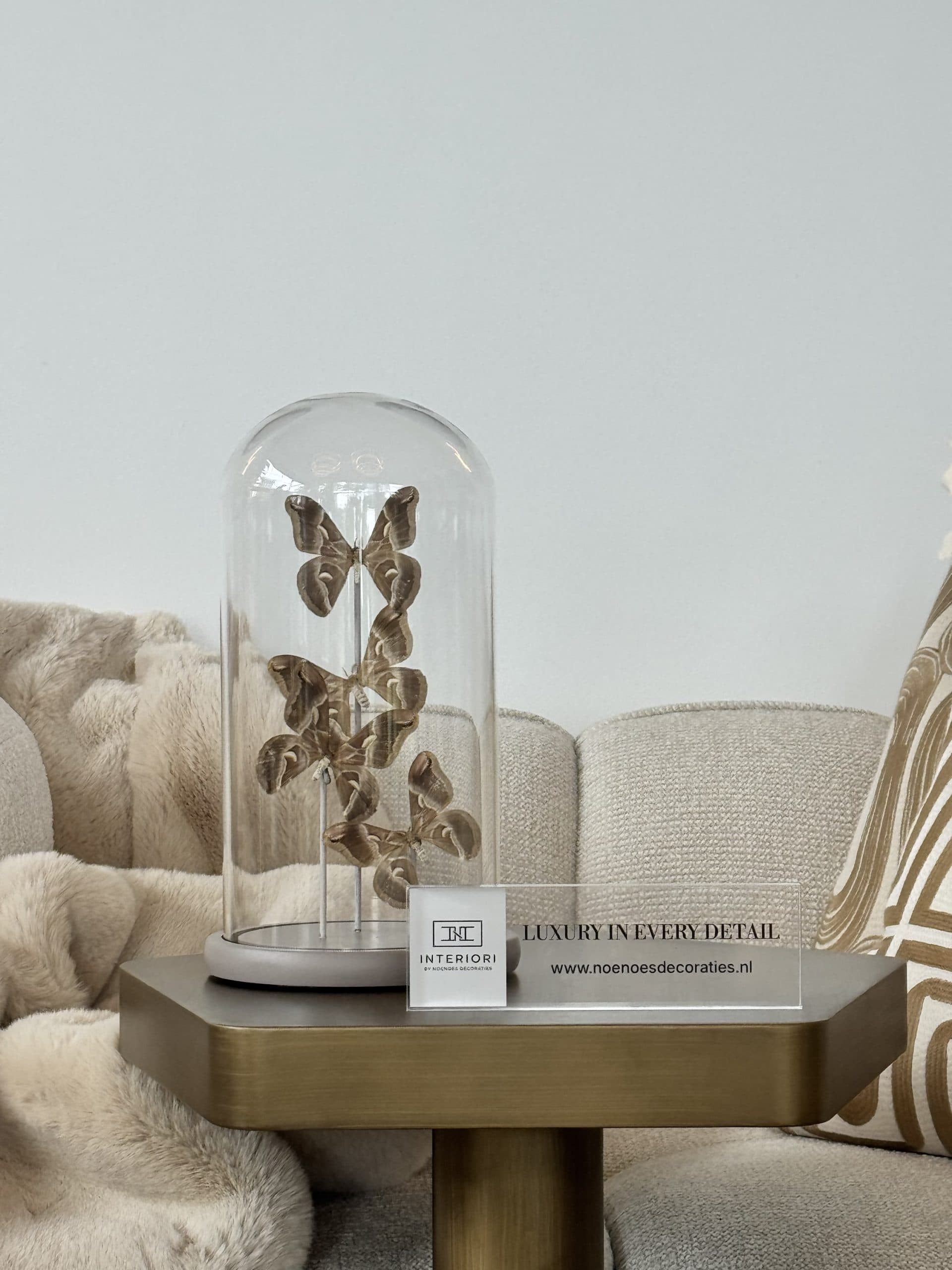 Luxe stolp taupe met 4 echte vlinders in bruin, beige en ivoor