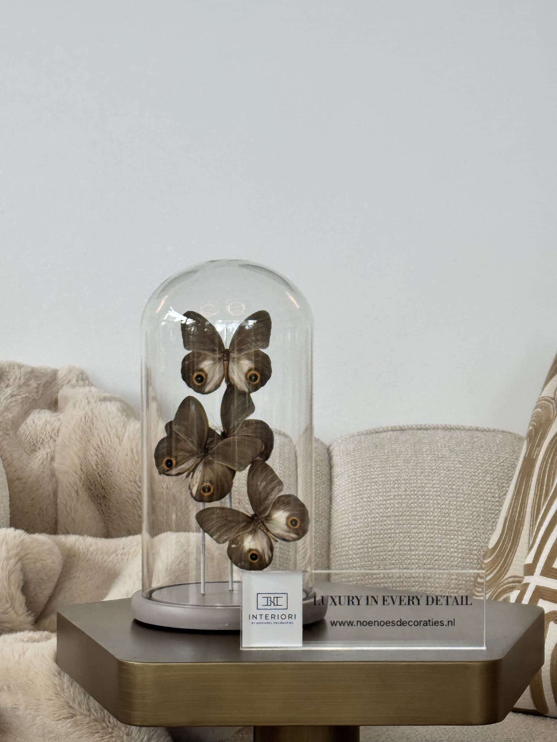 Luxe stolp taupe met 4 echte vlinders in bruin, beige en ivoor