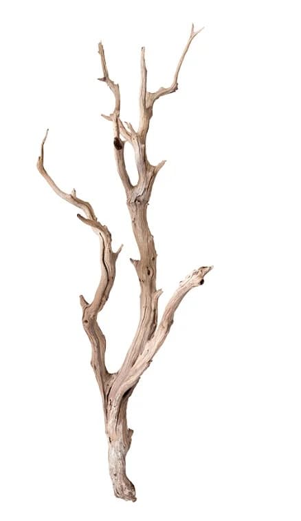 Ghostwood sandblasted tak 150 cm - droogdecoratie