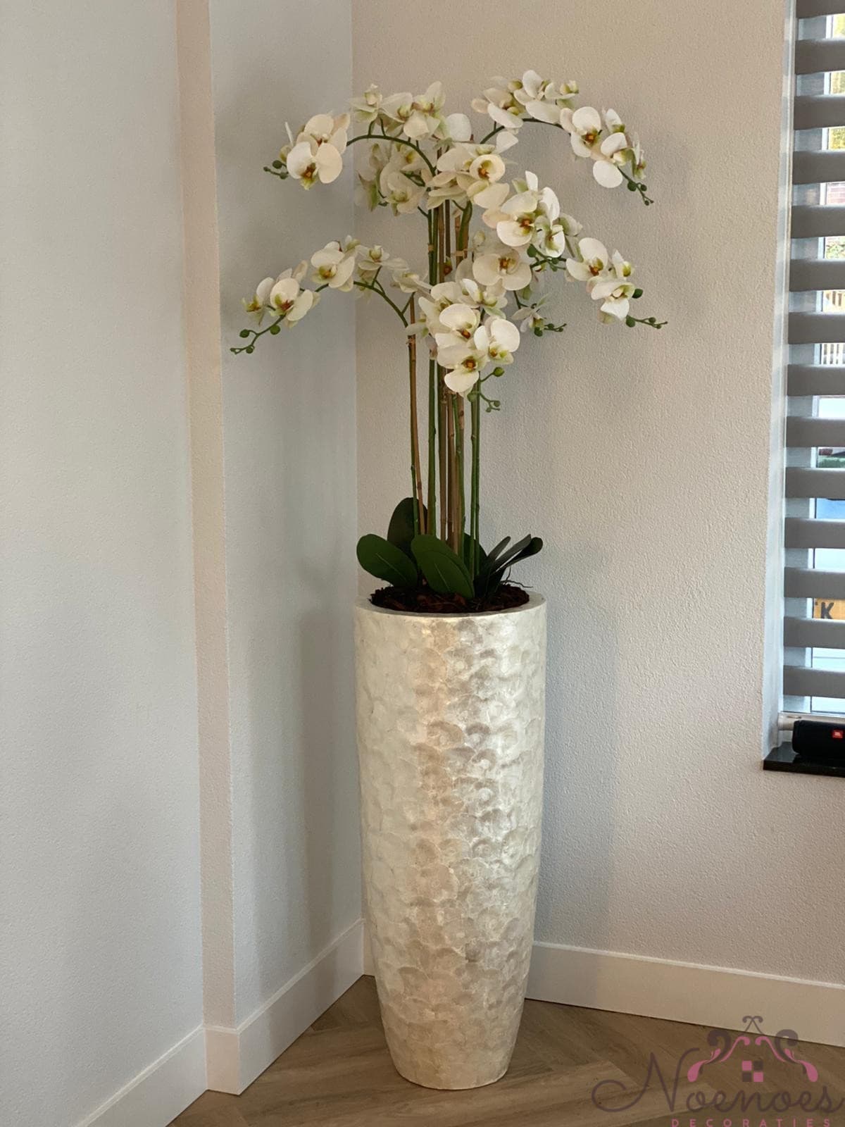 Schelpenvaas Capiz met witte orchideeën, D37 x H90 cm