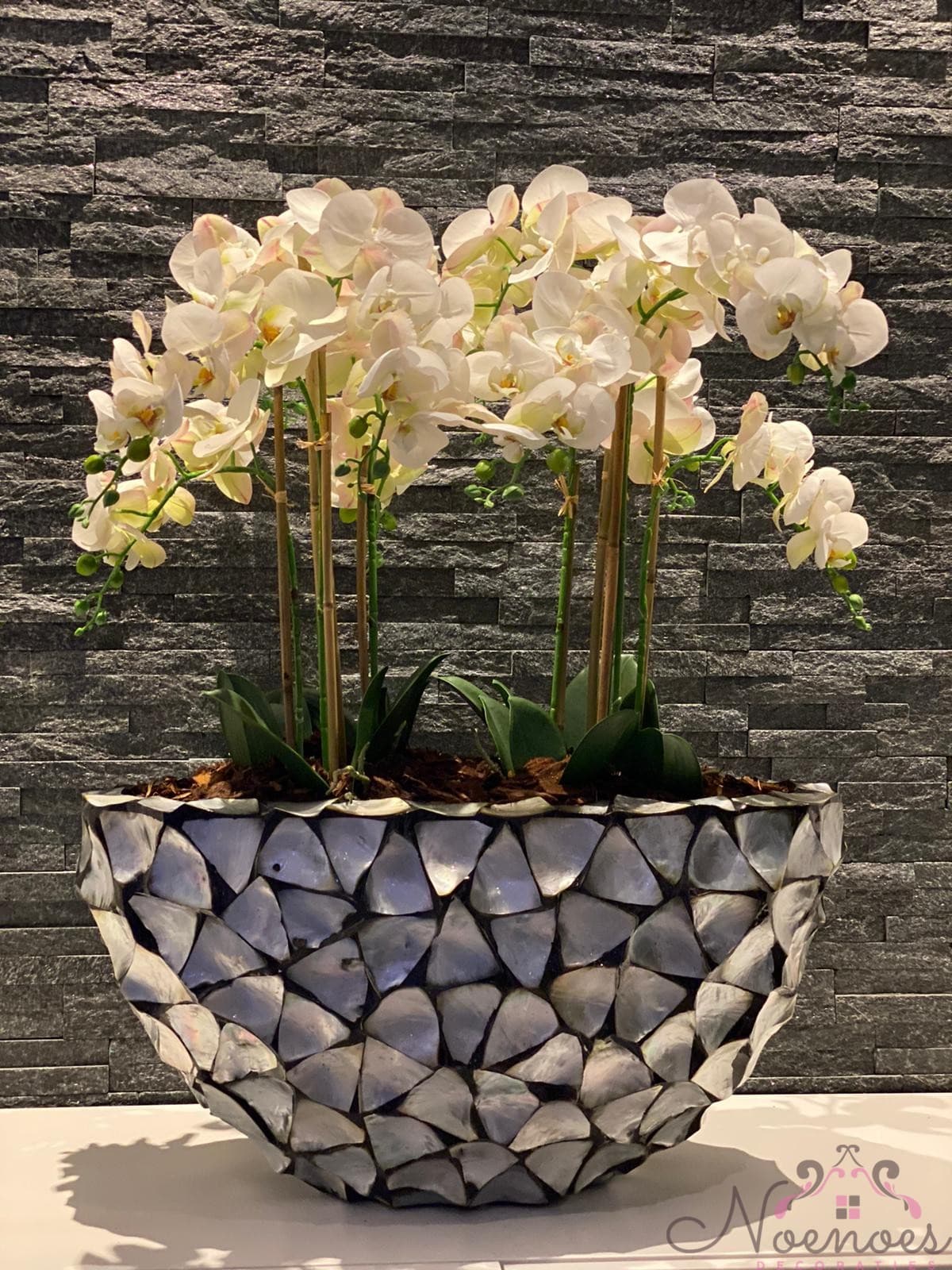 Schelpenvaas ovaal met witte orchideeën 60x30 cm