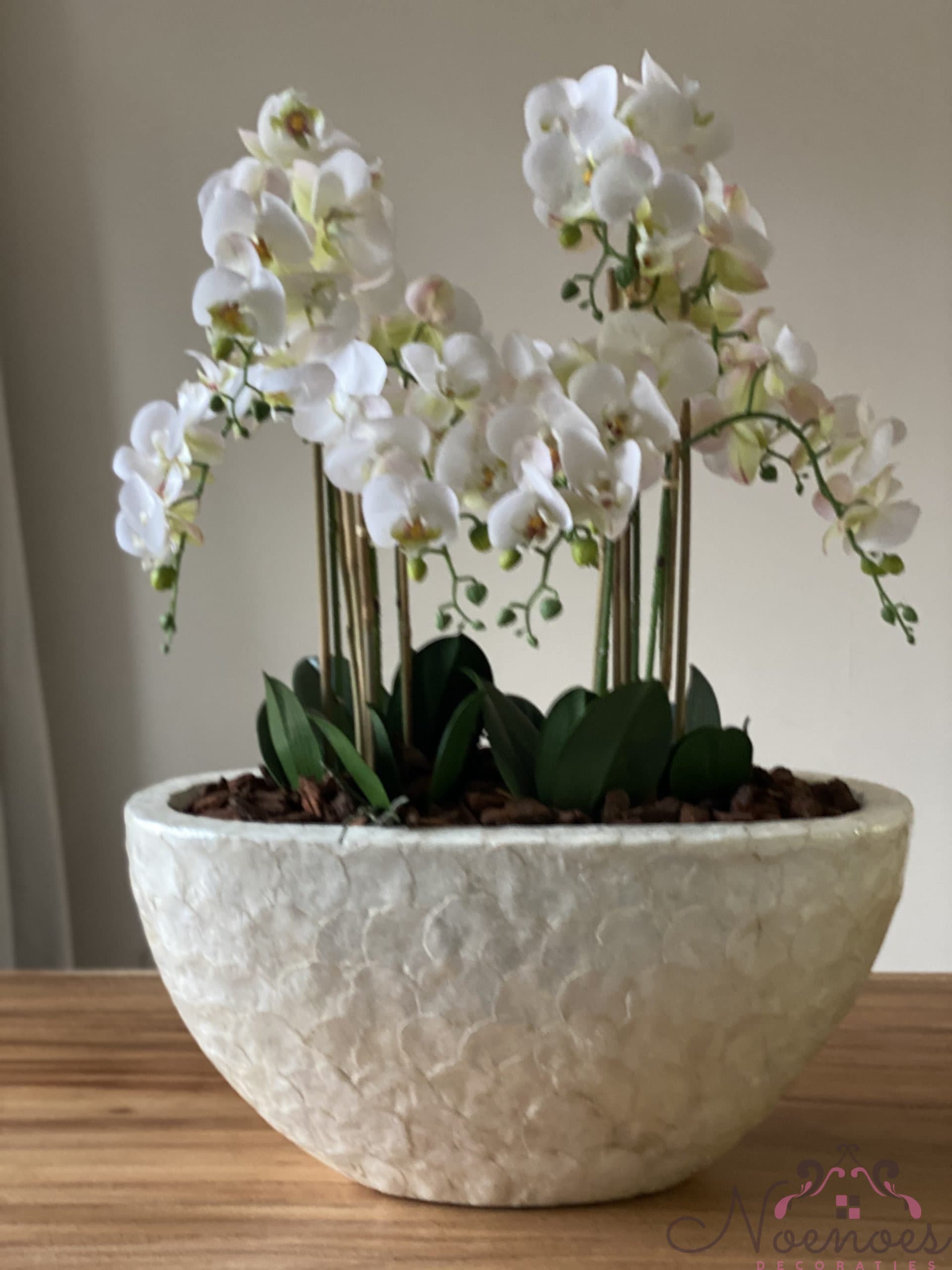 Schelpenvaas ovaal met orchideeën, 60x26x30 cm, crème of goud