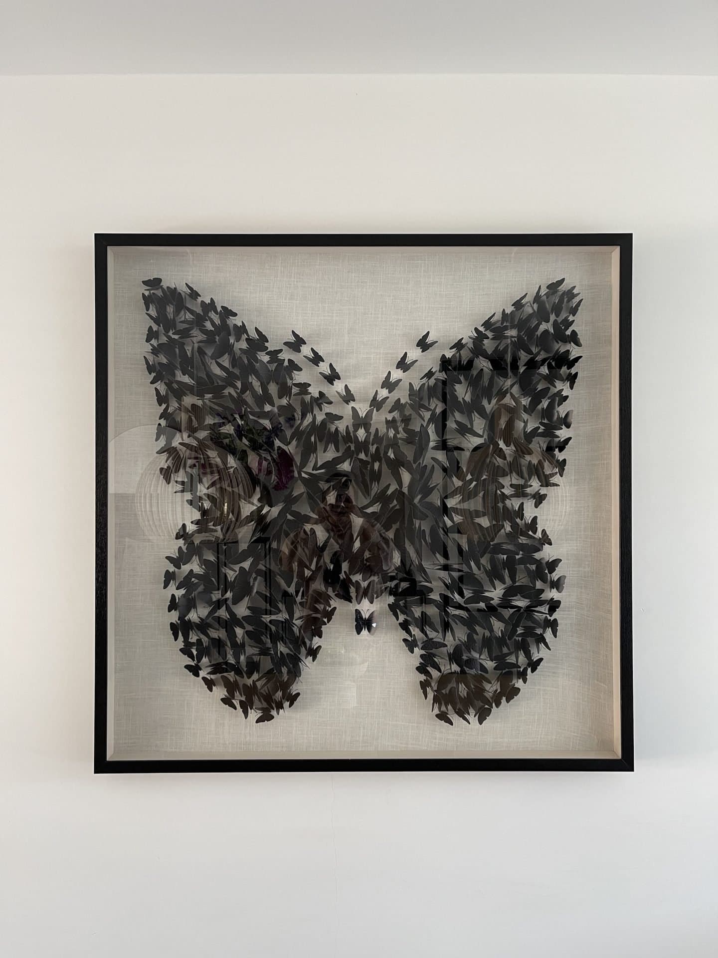 3D vlinderschilderij zwart 120×120 cm met glazen lijst