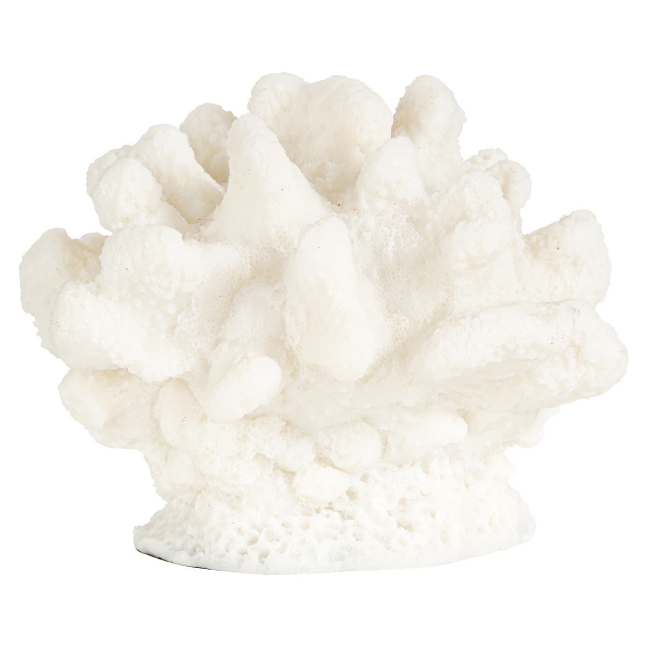 Koraal decoratie Mare white polyresin 16x13 cm