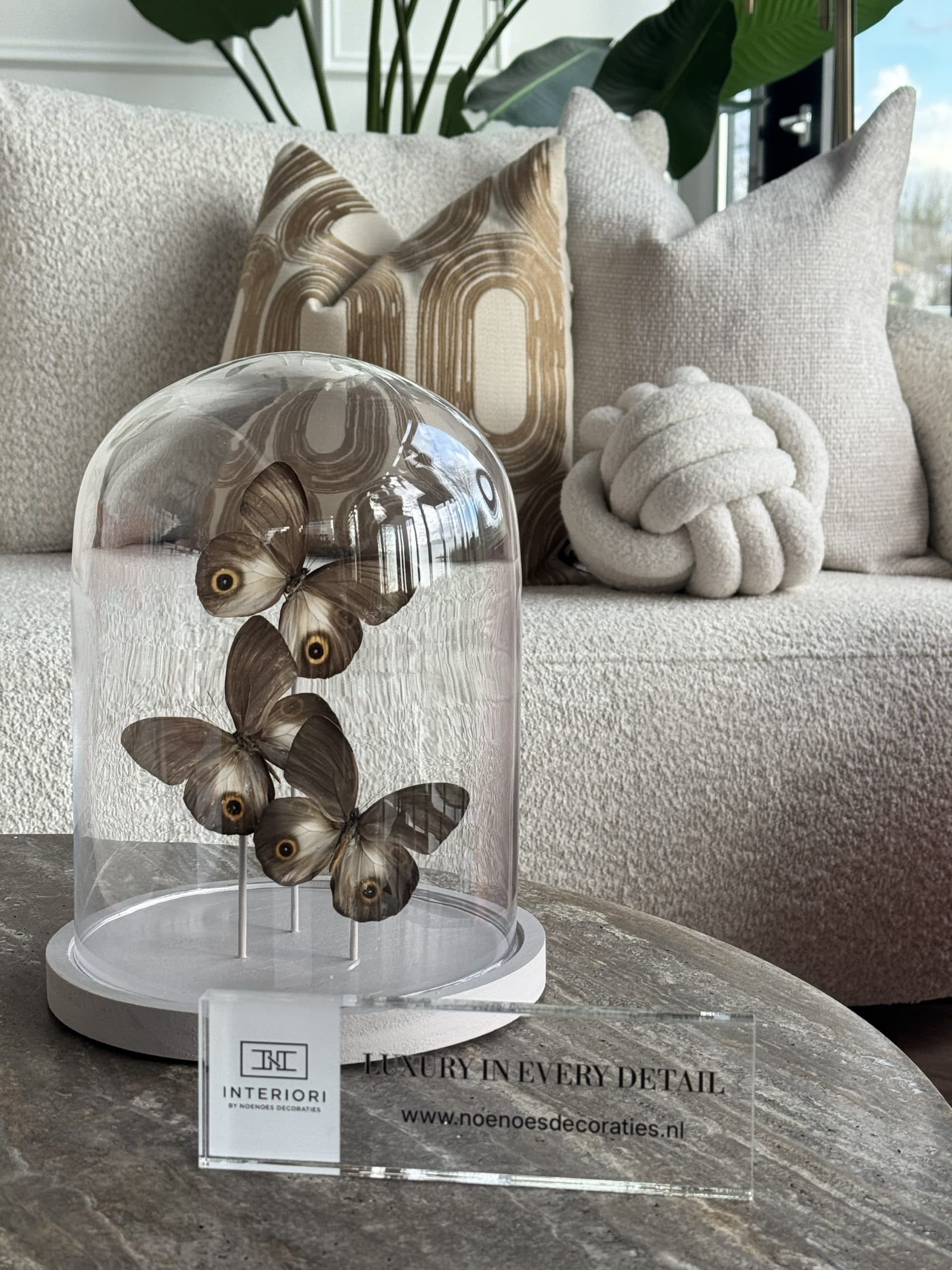 Stolp met 3 echte vlinders bruin ivory glazen stolp 22x30 cm