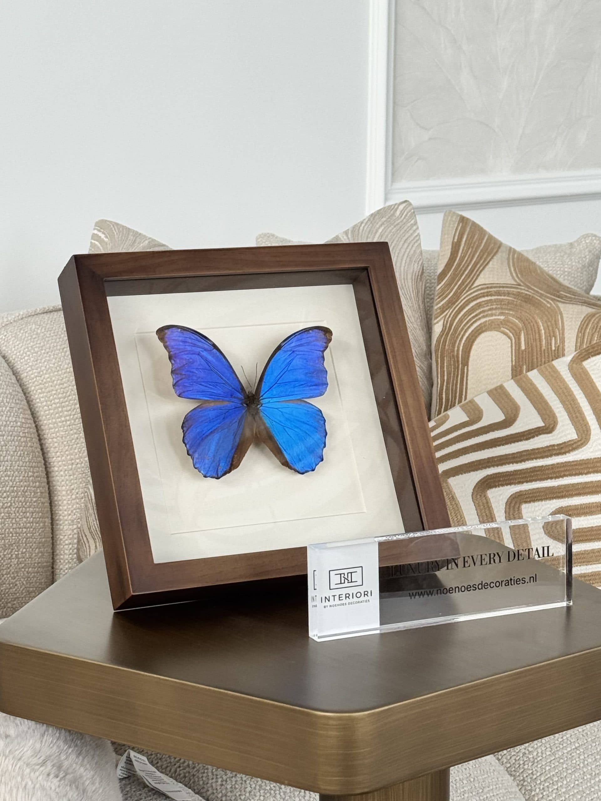 Vlinder Morpho blauw in bruine lijst – echte vlinder 25x25 cm